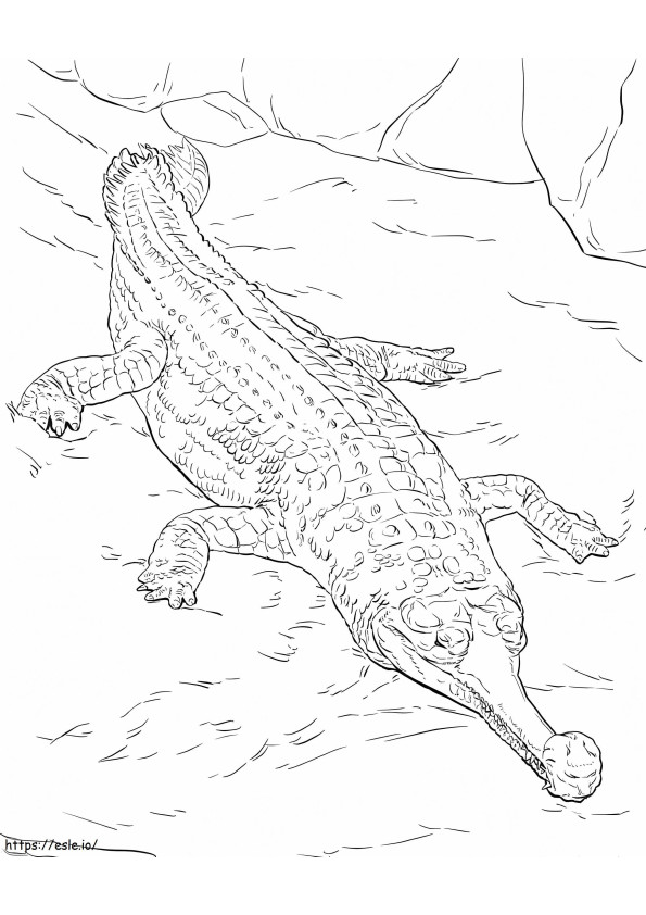 Realistic Gharial coloring page