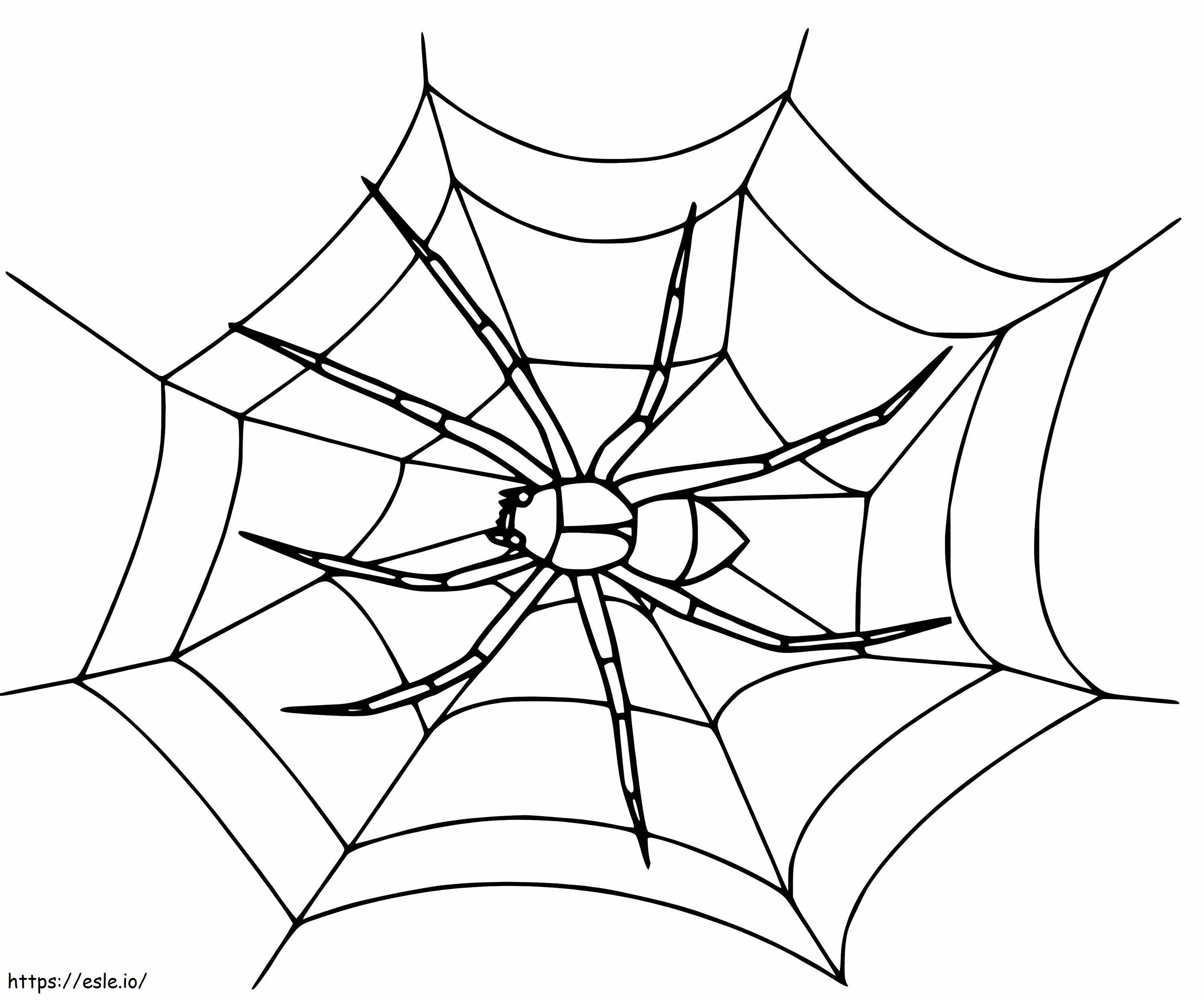 Araña en tela de araña 2 para colorear