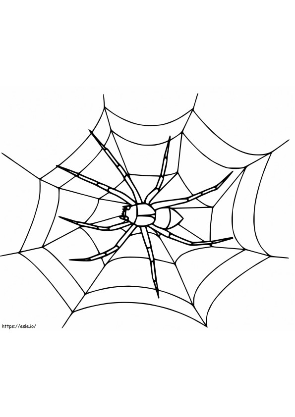 Spider On Spider Web 2 coloring page