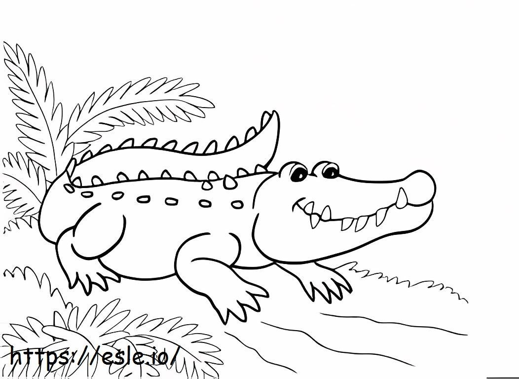 Coloriage Crocodile normal à imprimer dessin