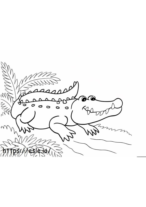 Normal Crocodile coloring page