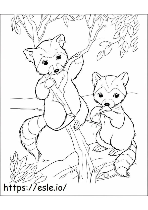 Coloriage Deux mignons ratons laveurs sur une branche d'arbre à imprimer dessin
