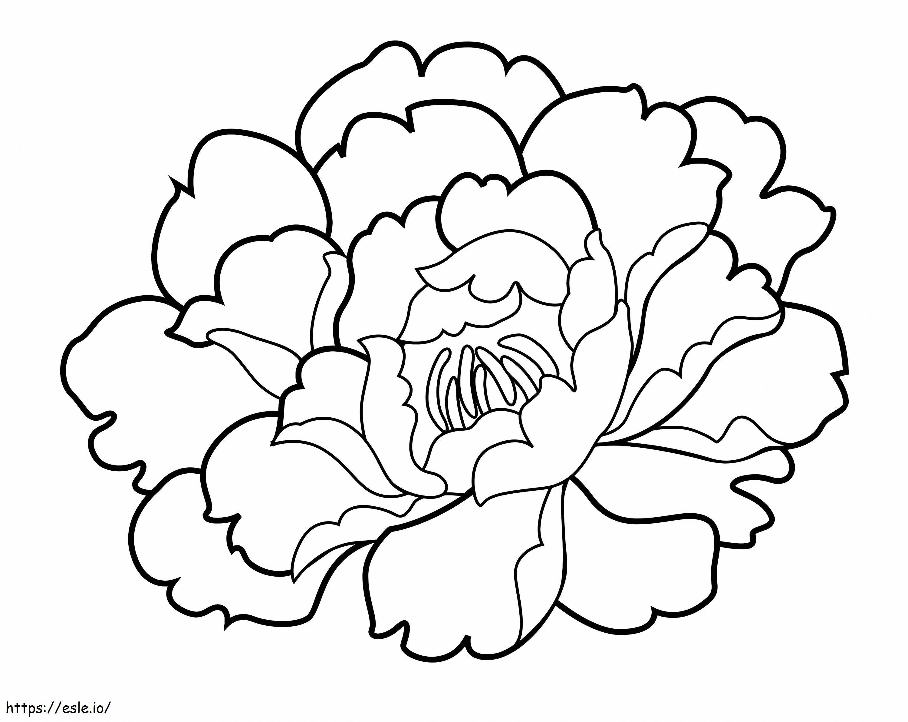 Sweet Carnation coloring page
