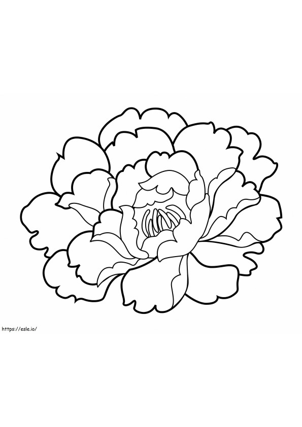 Sweet Carnation coloring page