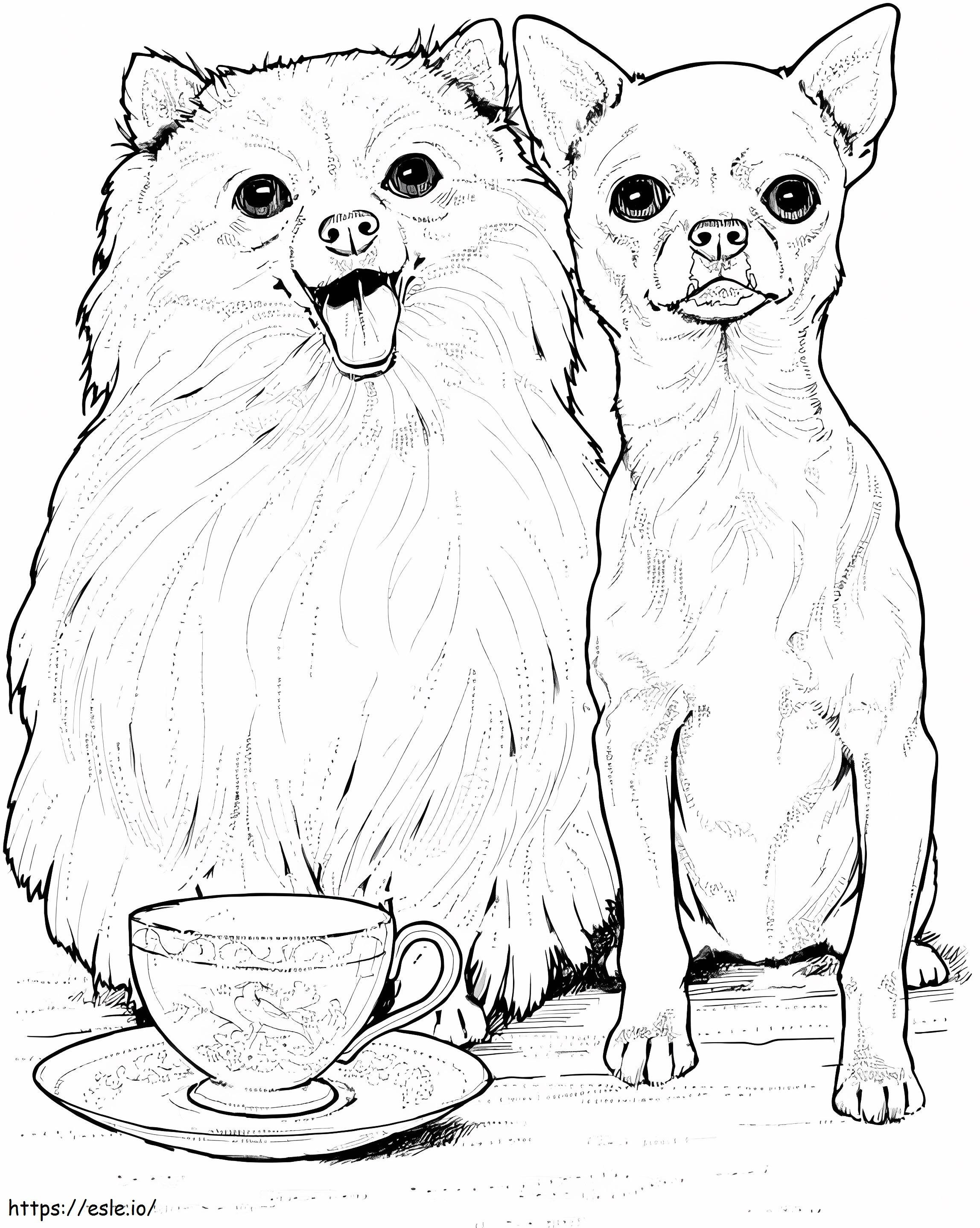 Pomeranian dan Chihuahua Gambar Mewarnai