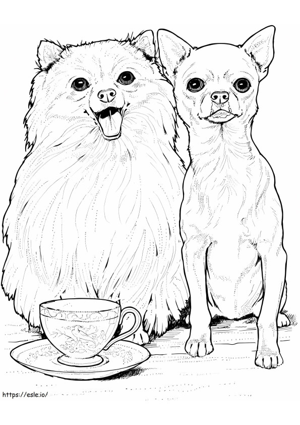 Coloriage Poméranie et Chihuahua à imprimer dessin