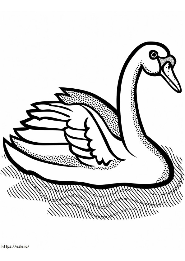 Cisne Natação 3