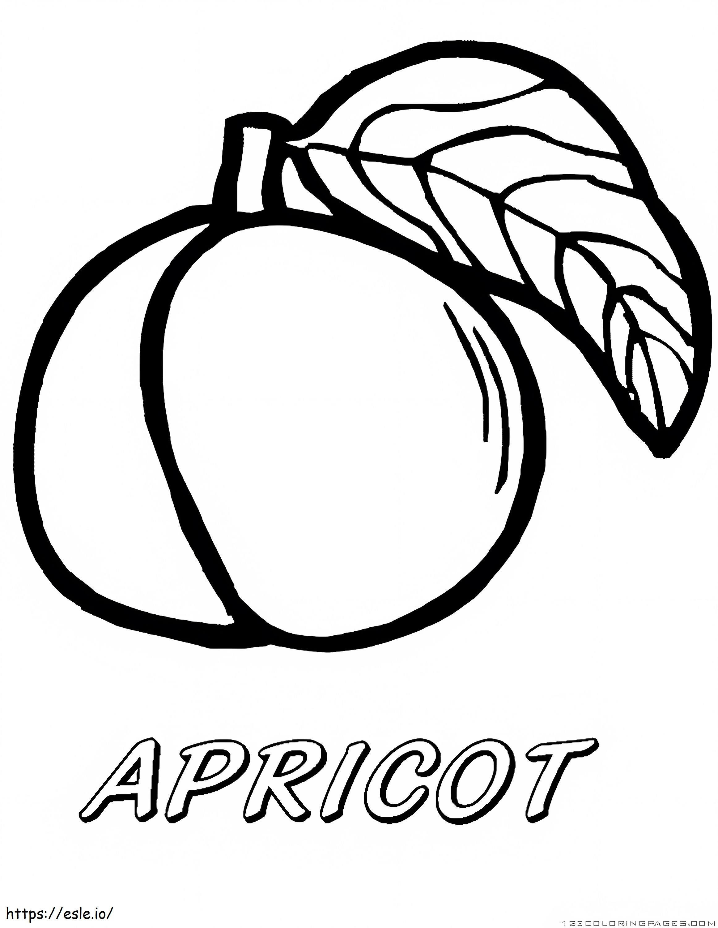 Apricot 9 coloring page