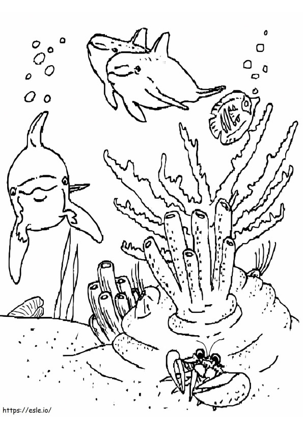 Free Ocean Life coloring page