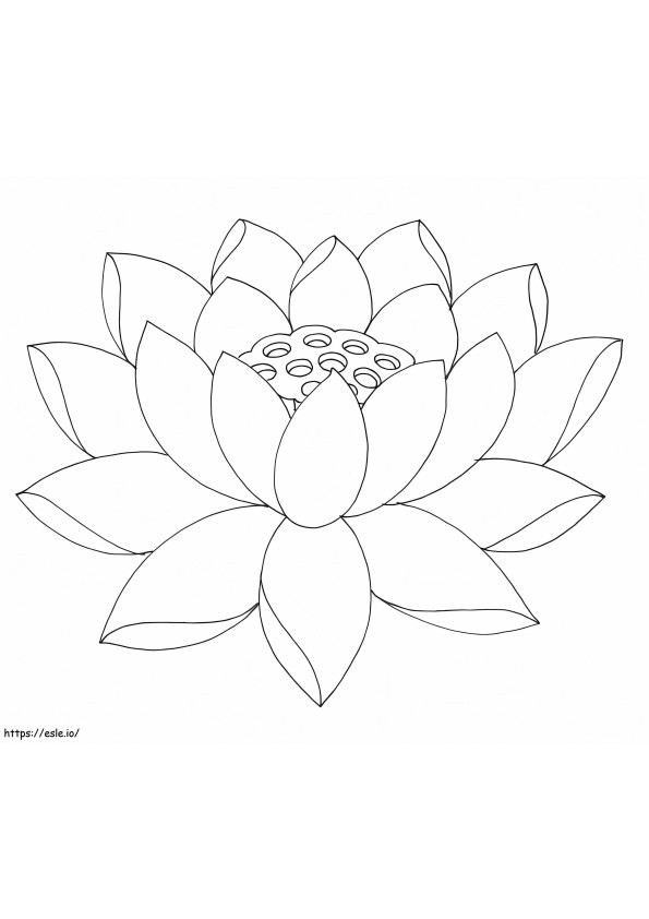 Lotusbloem kleurplaat