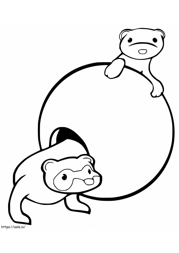 Furets mignons
