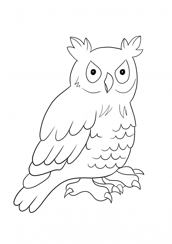 Funny owl to print and color free