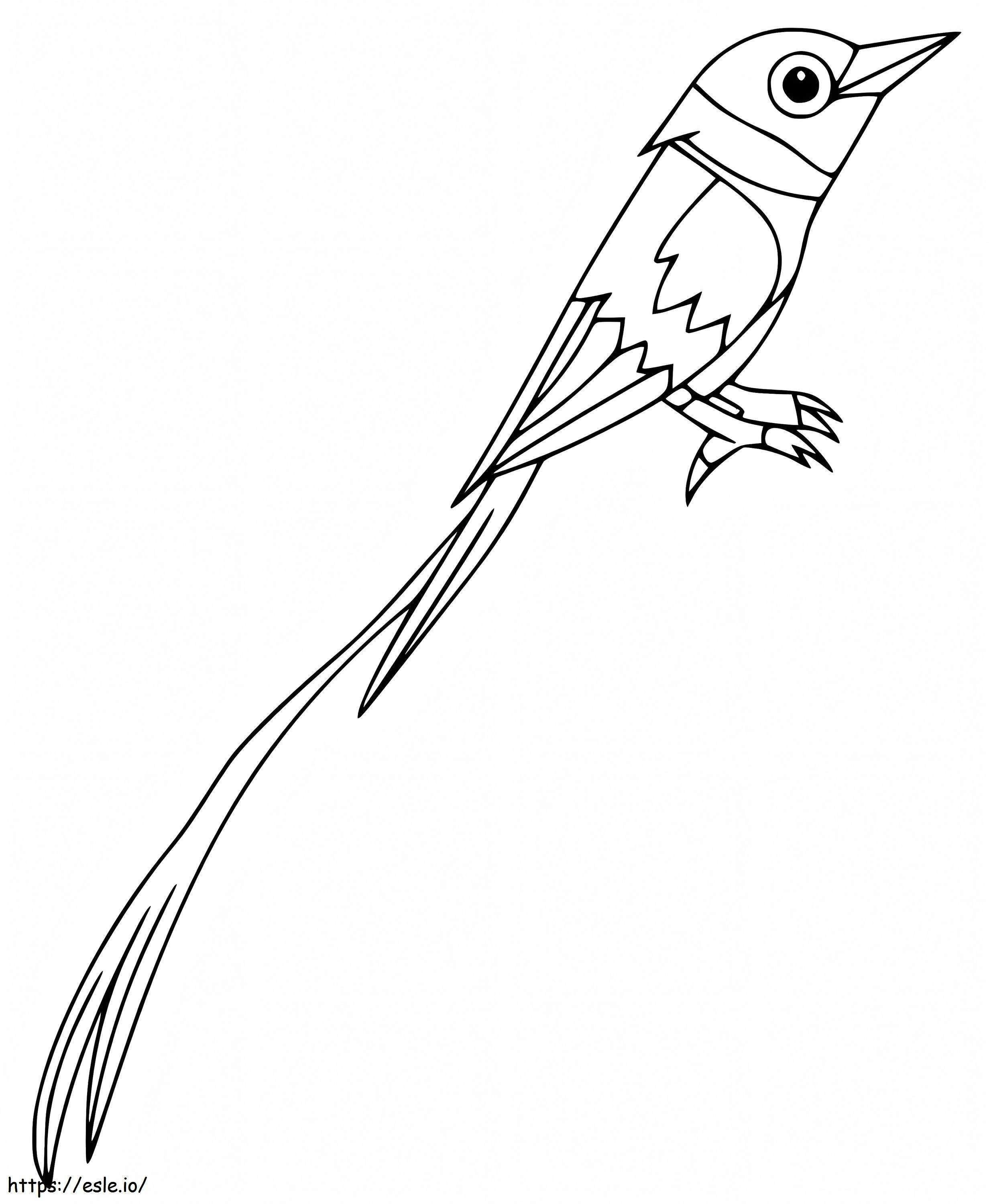 Cute Bird Of Paradise coloring page