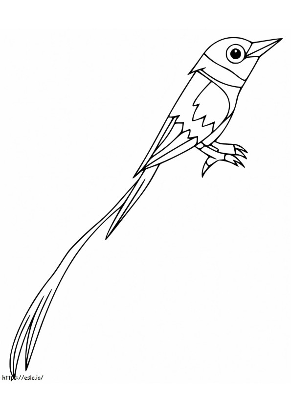Coloriage Mignon oiseau de paradis à imprimer dessin