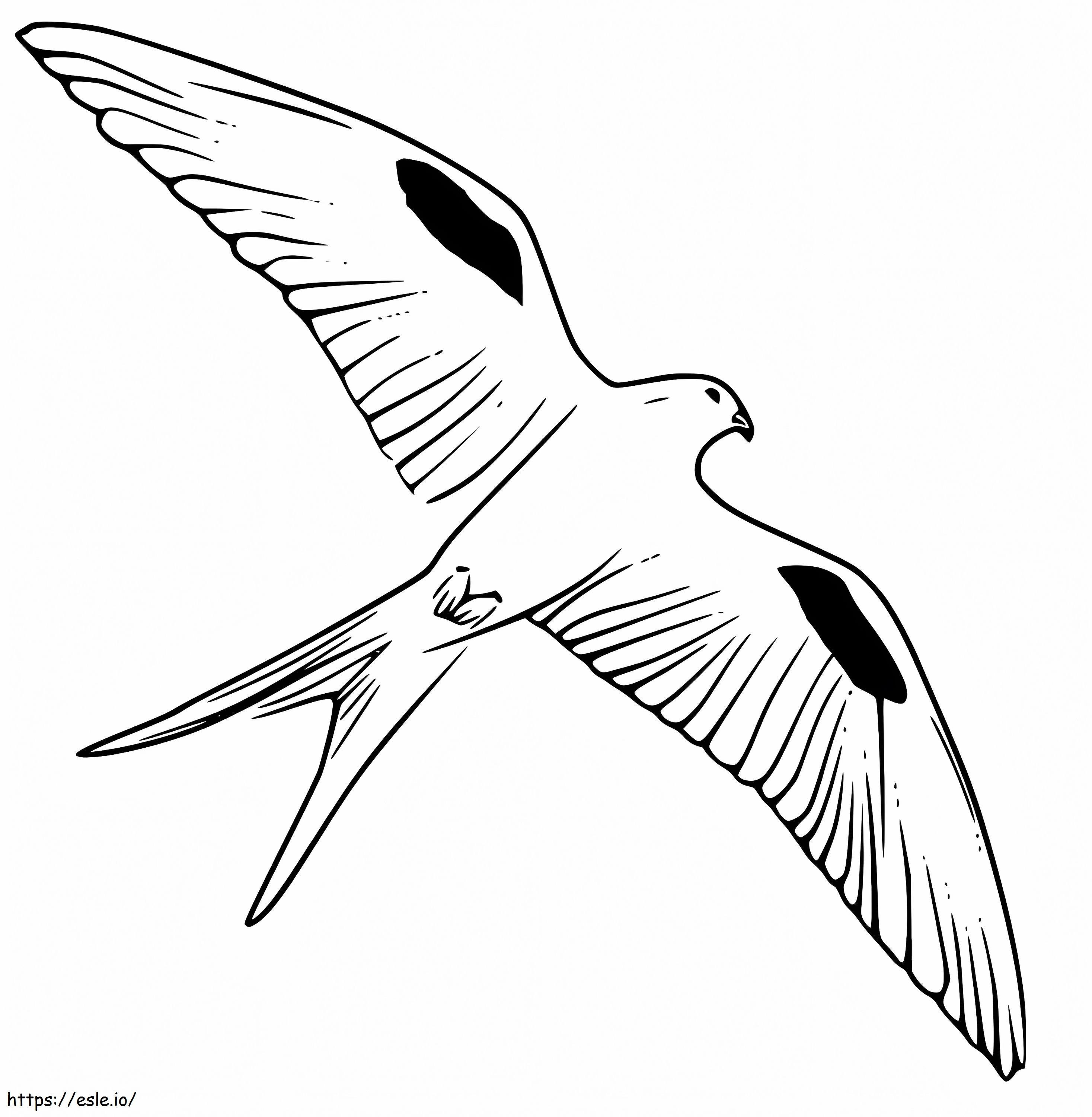 Kite Bird Fying coloring page