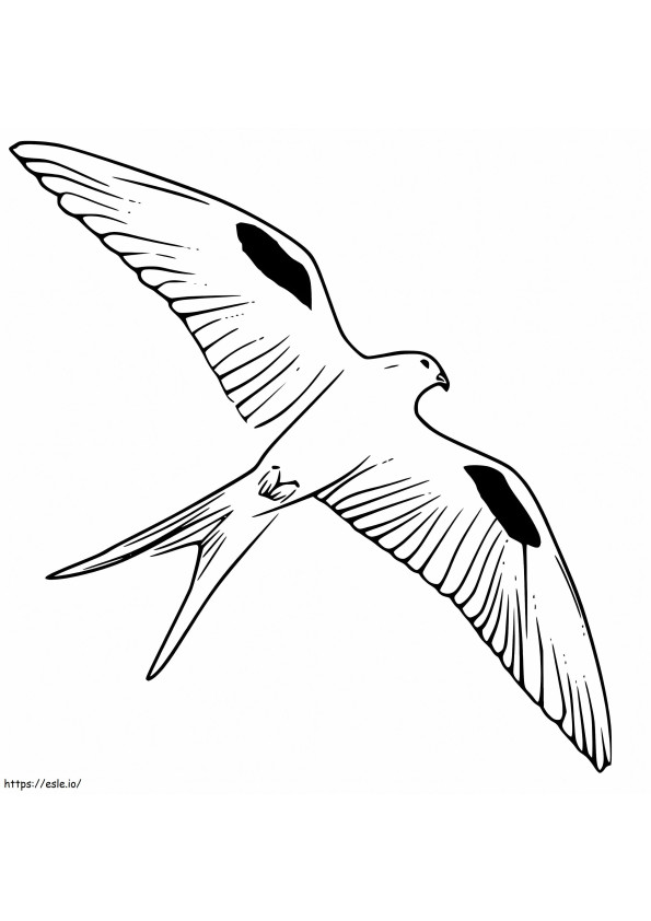 Kite Bird Fying coloring page