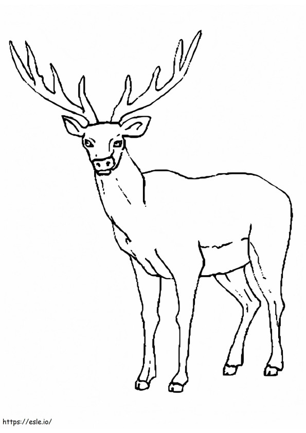Incredible Moose coloring page
