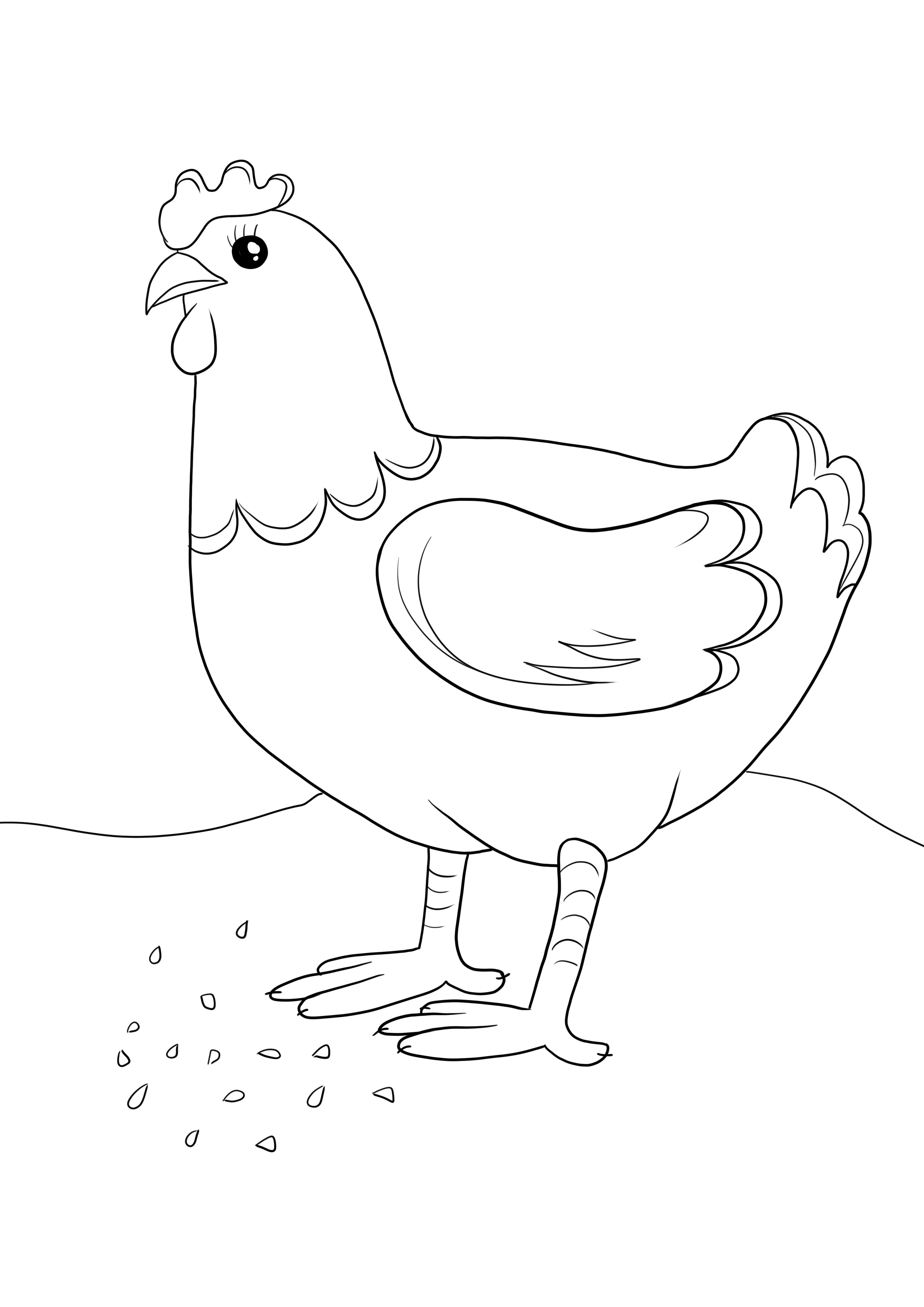 Chicken pecking seeds free downloading and coloring sheet