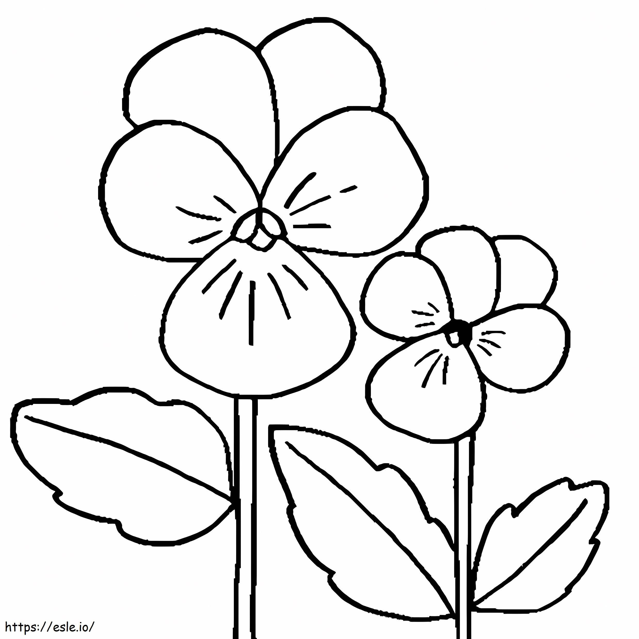Printable Pansy coloring page