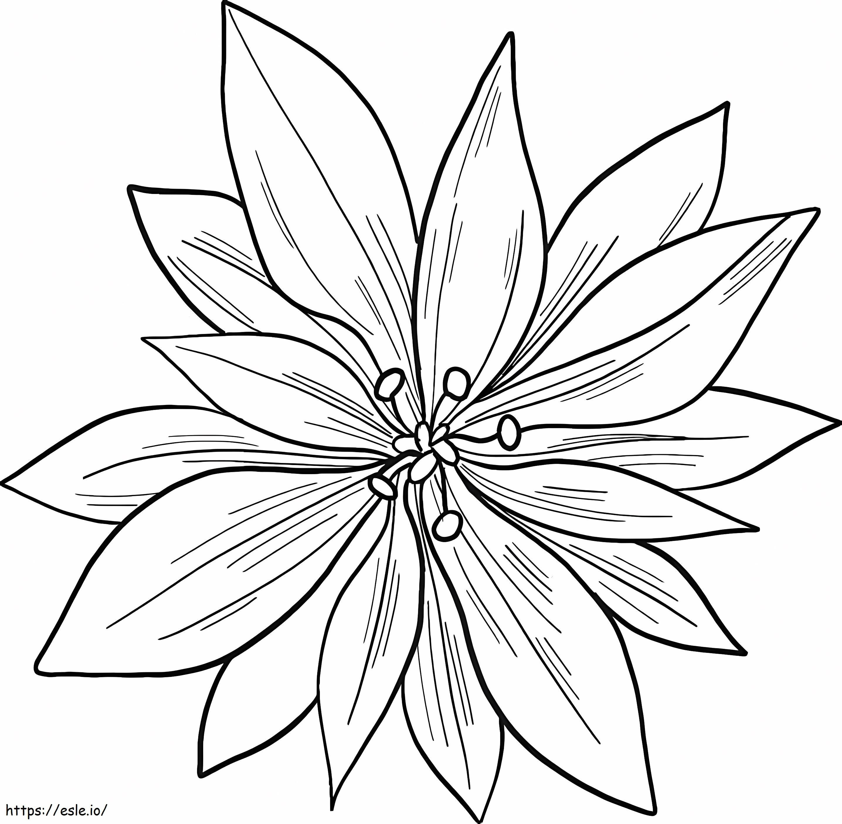 Coloriage Poinsettia imprimable à imprimer dessin