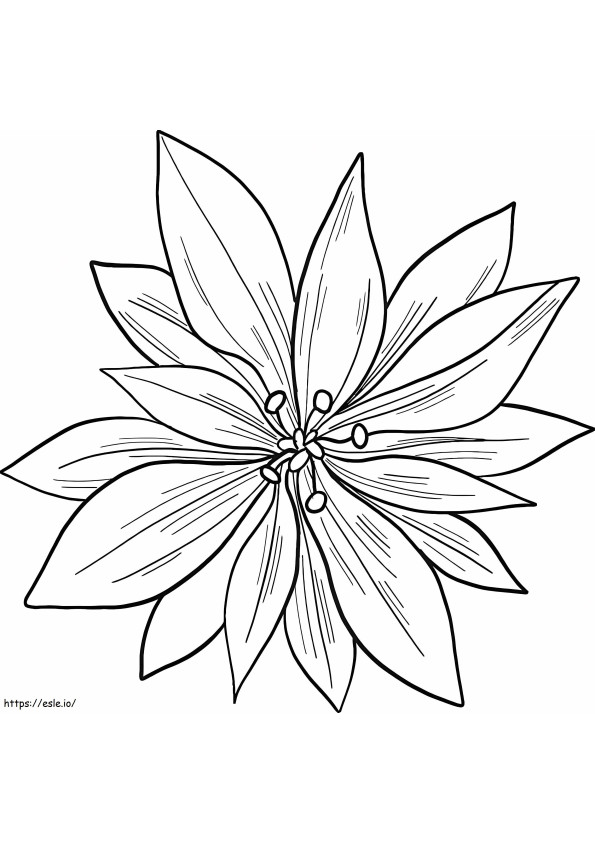 Poinsettia Printable coloring page