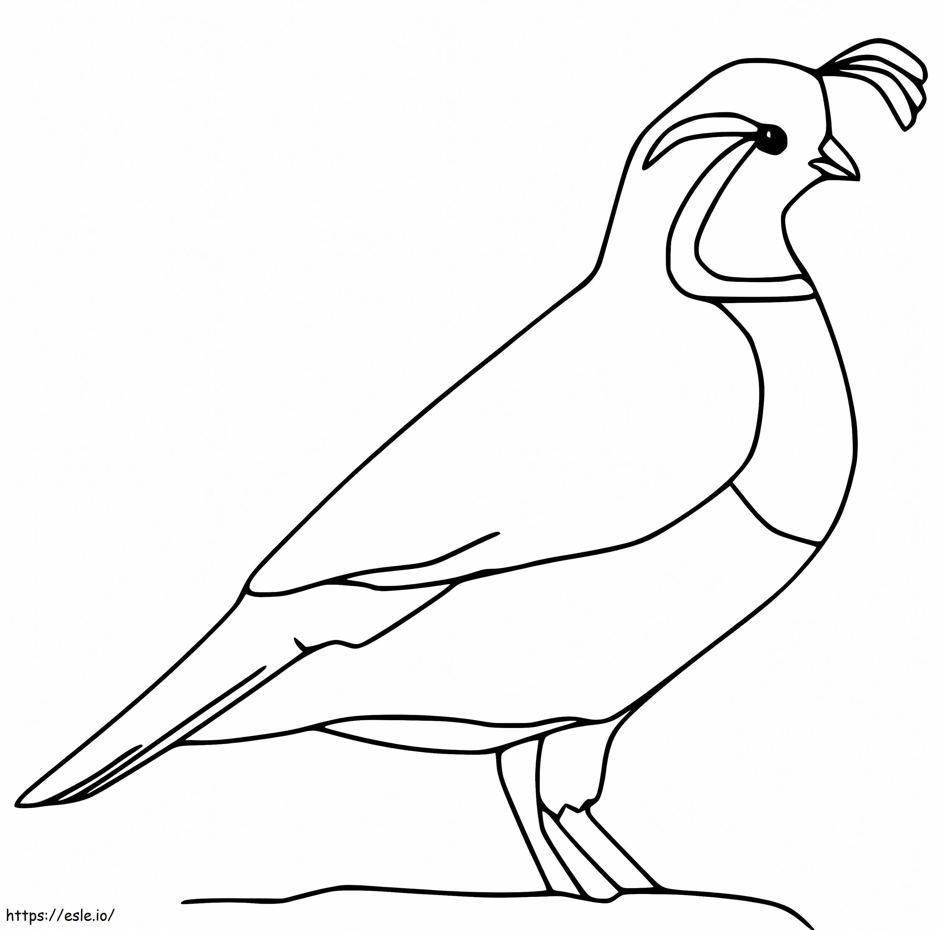 Easy Quail coloring page