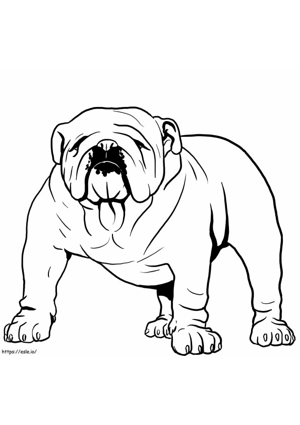Bulldog yang Kuat Gambar Mewarnai