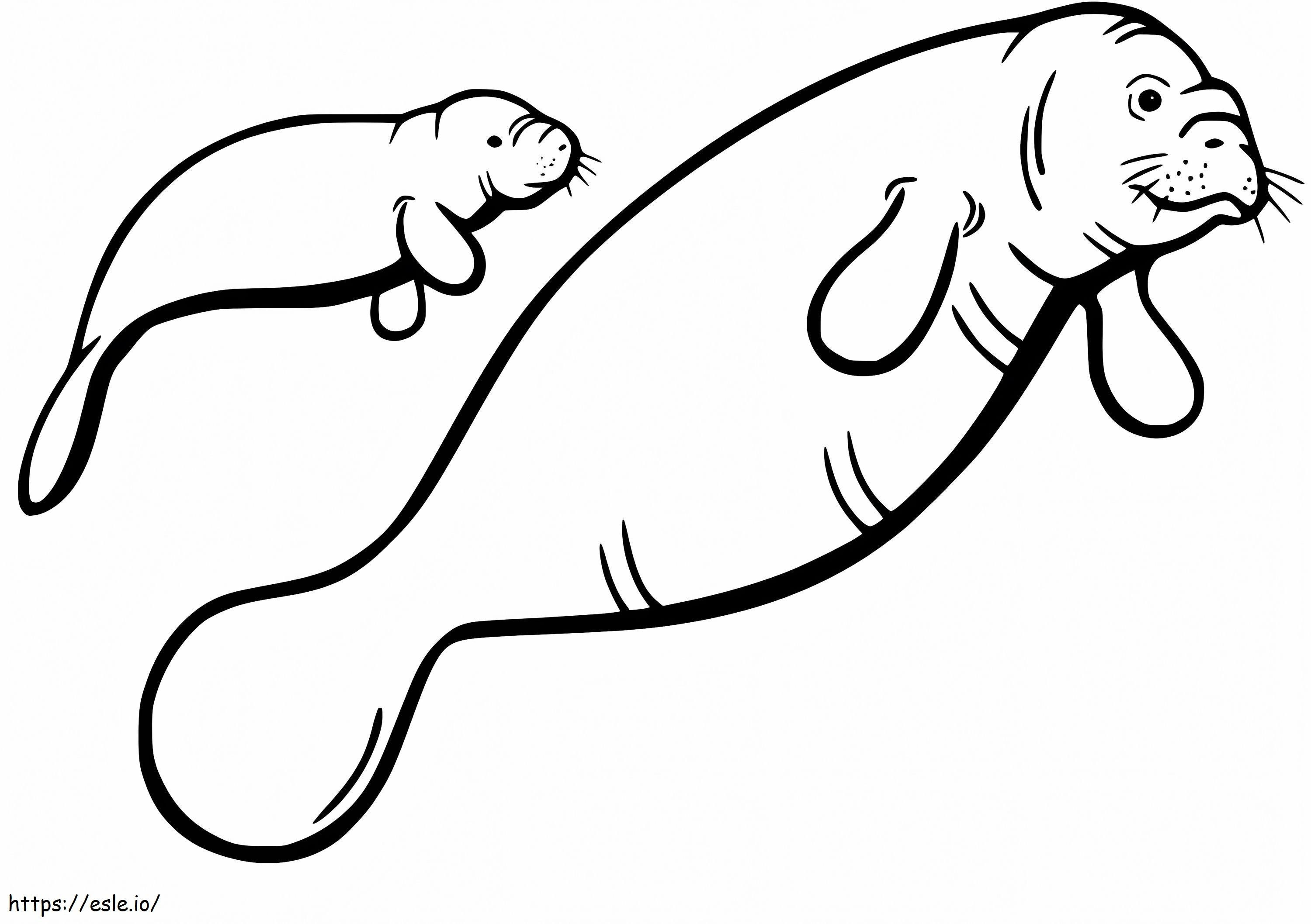 Manatee With Baby coloring page