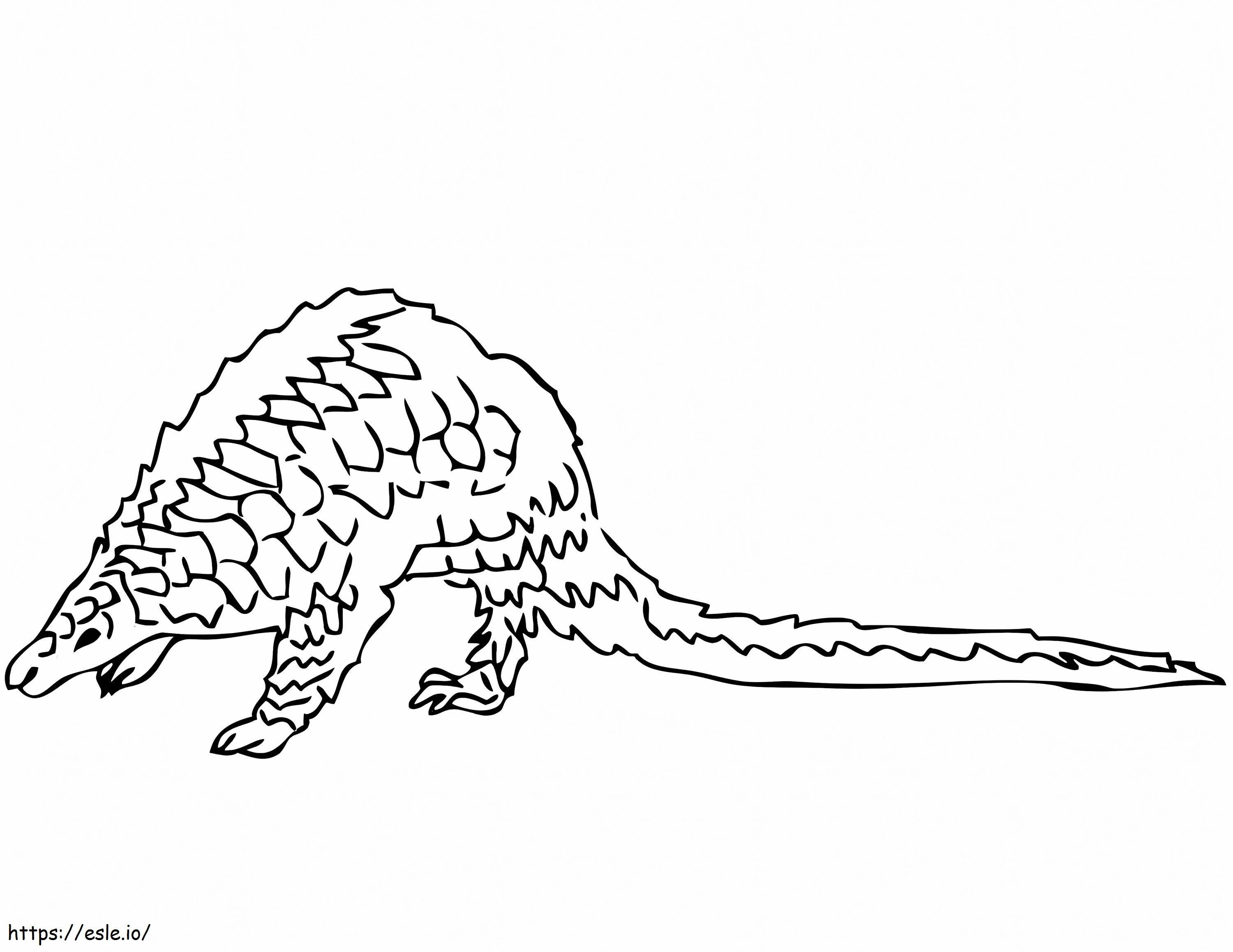 Simple Pangolin coloring page