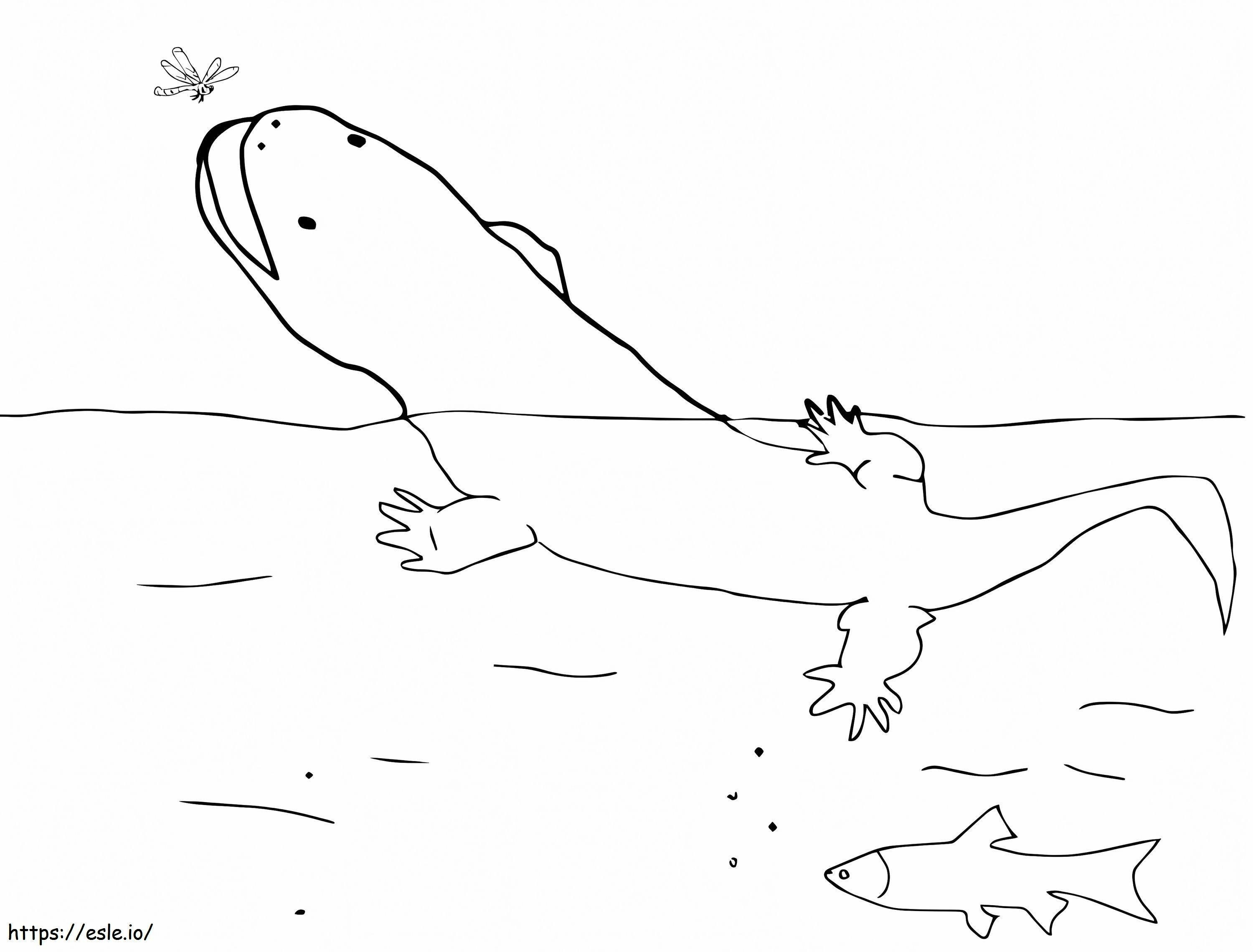 Chinese Giant Salamander coloring page