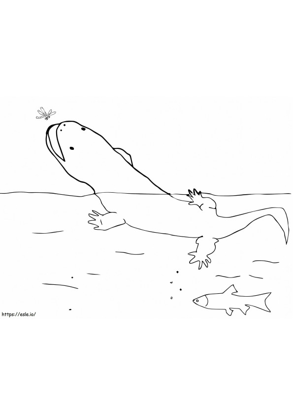 Chinese Giant Salamander coloring page