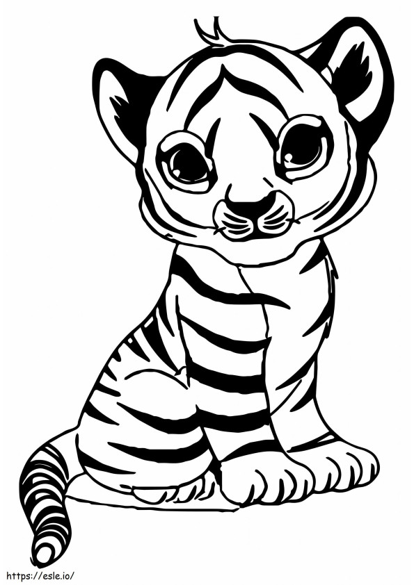 Little Tiger Sitting