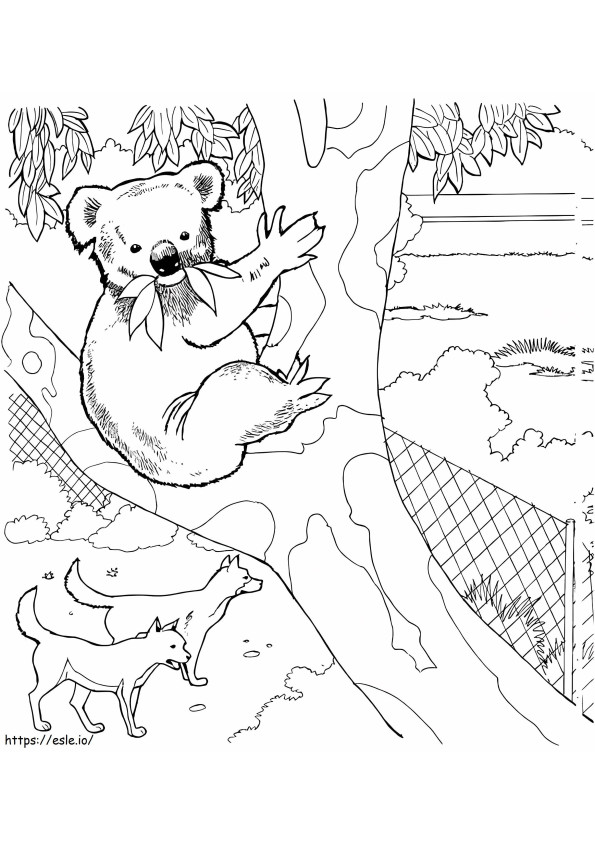 Koala e due cani allo zoo da colorare
