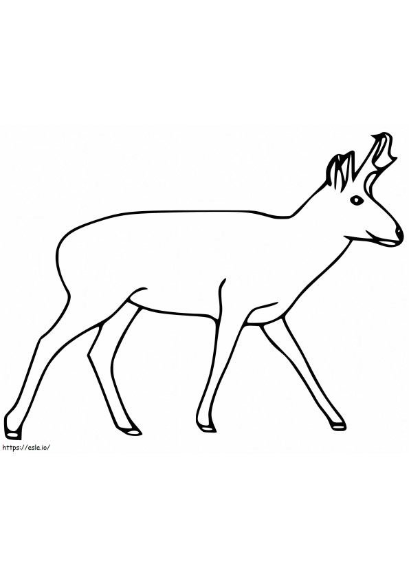 Printable Pronghorn coloring page
