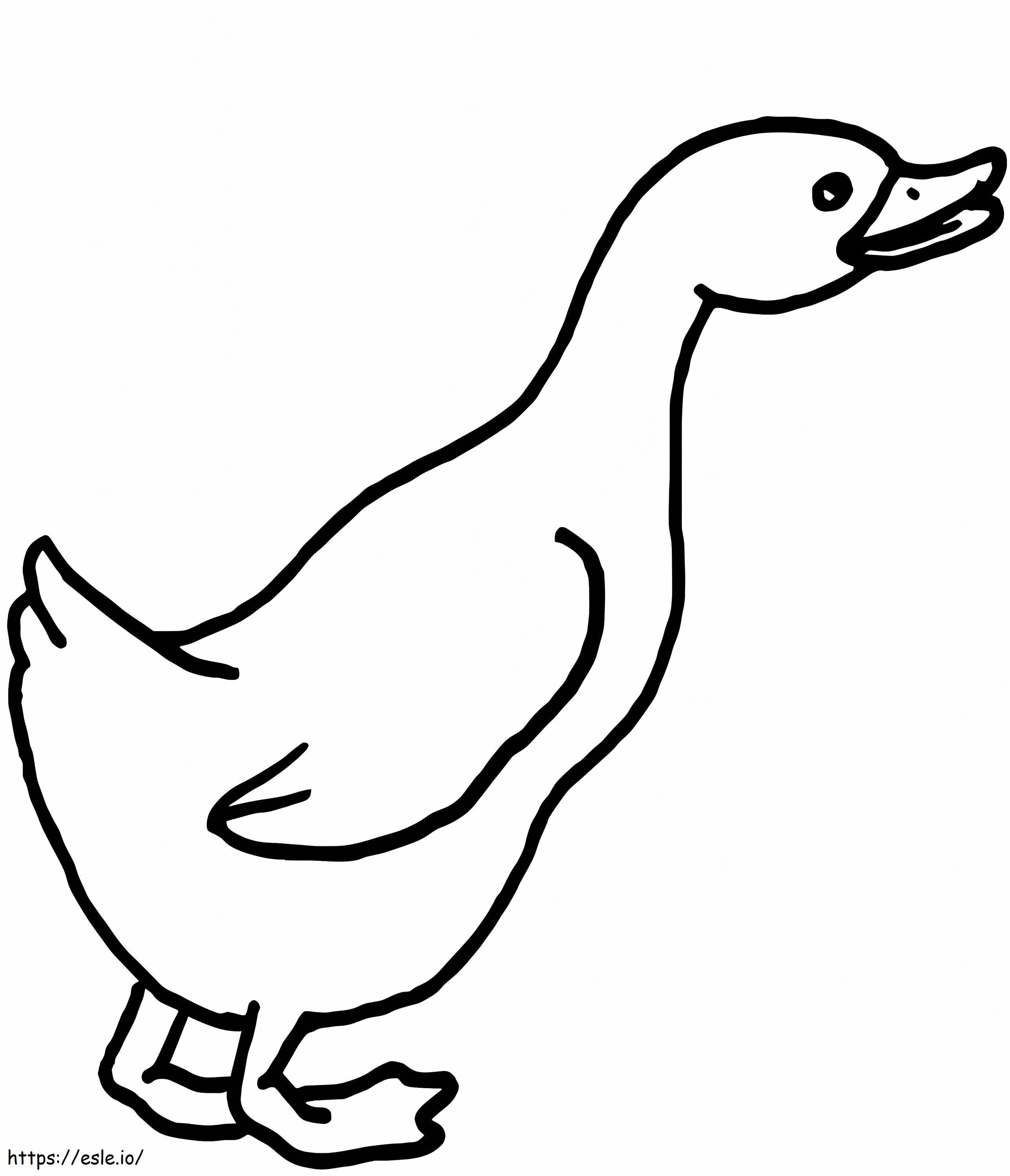 Curious Goose coloring page