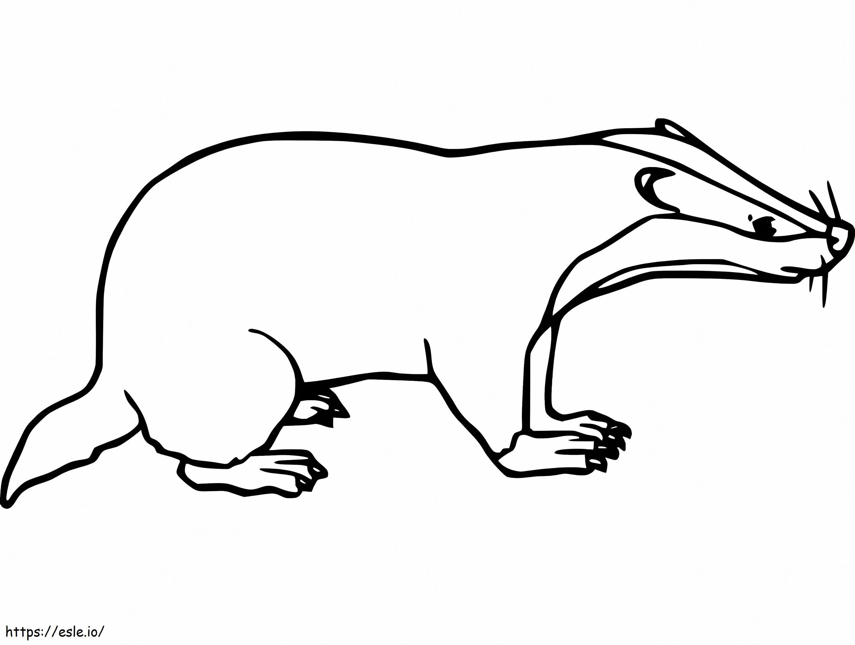 Pig Badger coloring page
