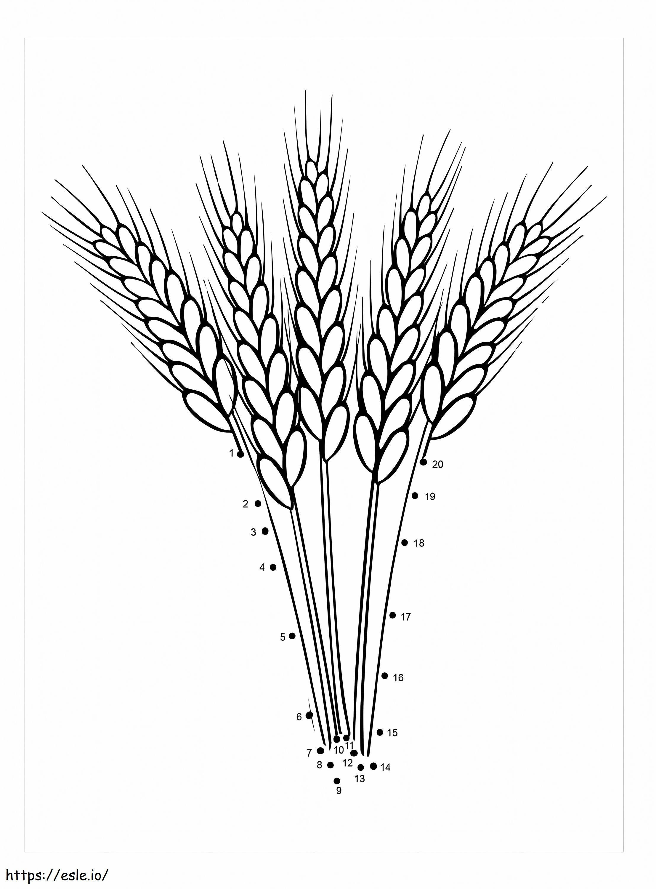 Wheat Color By Number coloring page