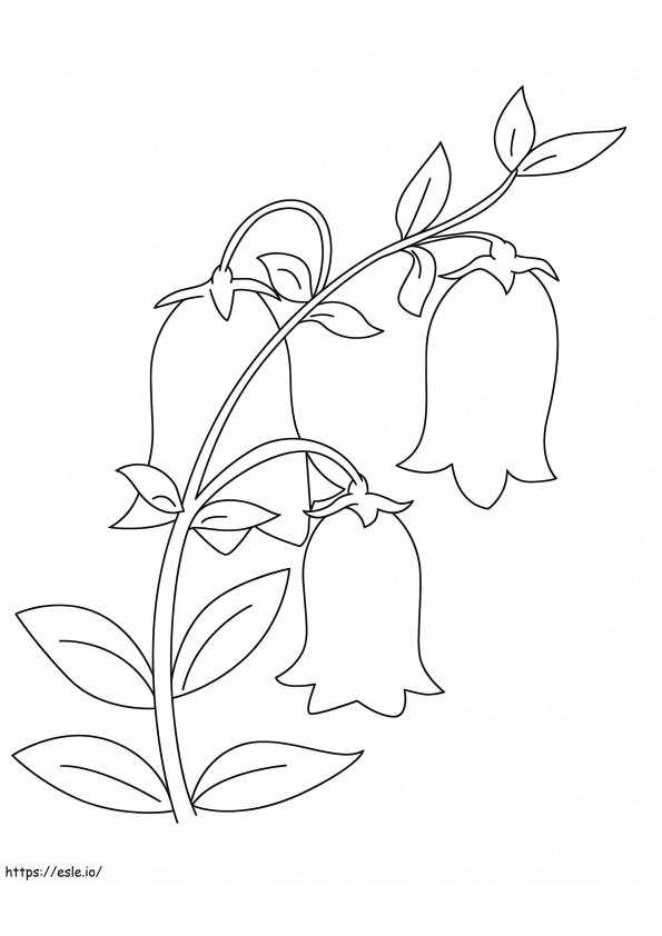 桔梗の花1 ぬりえ - 塗り絵