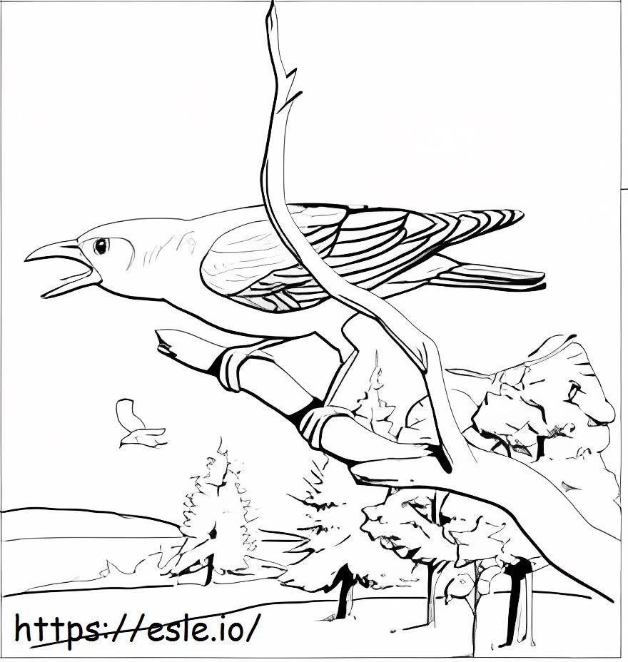 Nice Raven coloring page