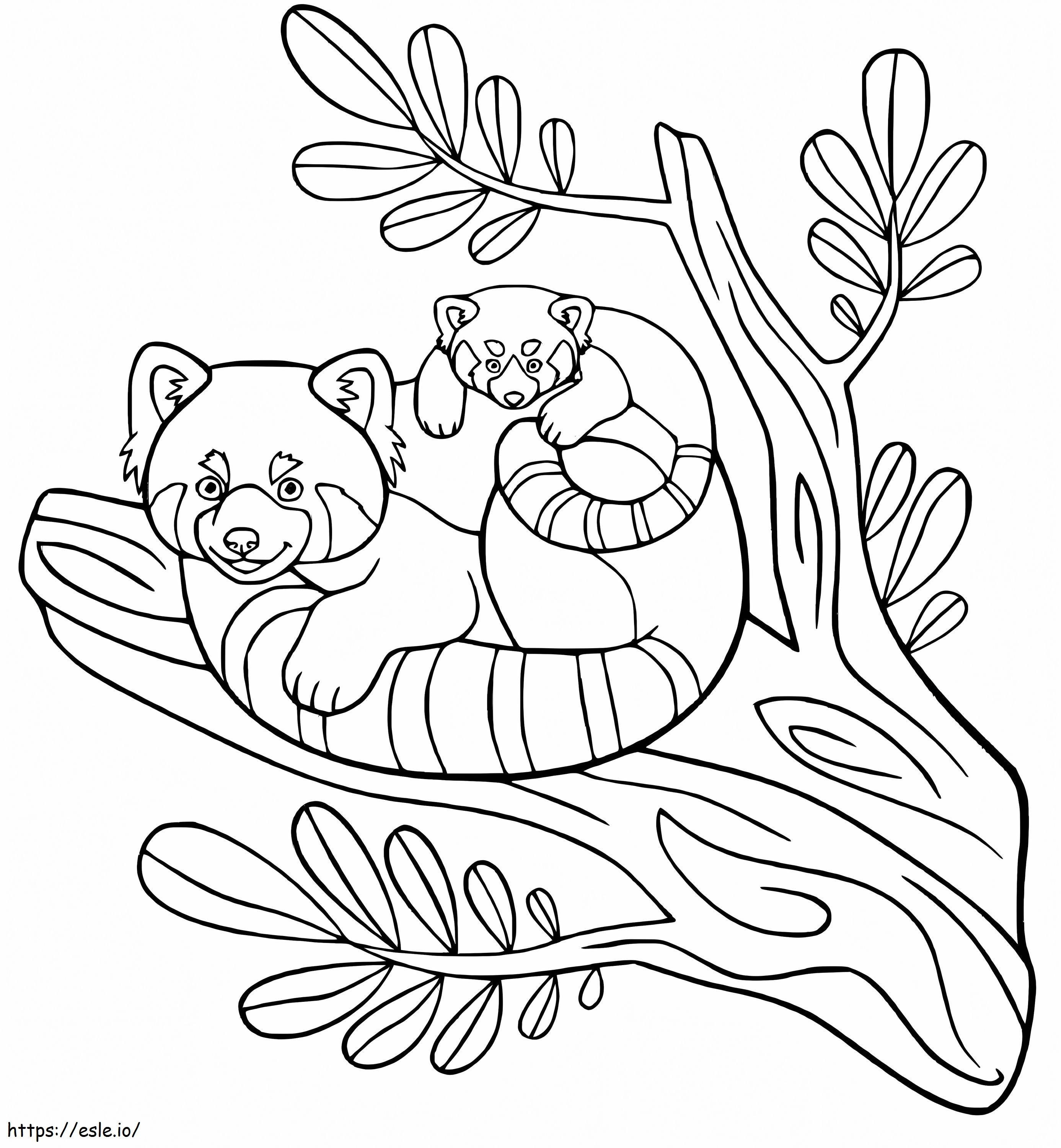 Mãe e bebê panda no galho de árvore para colorir