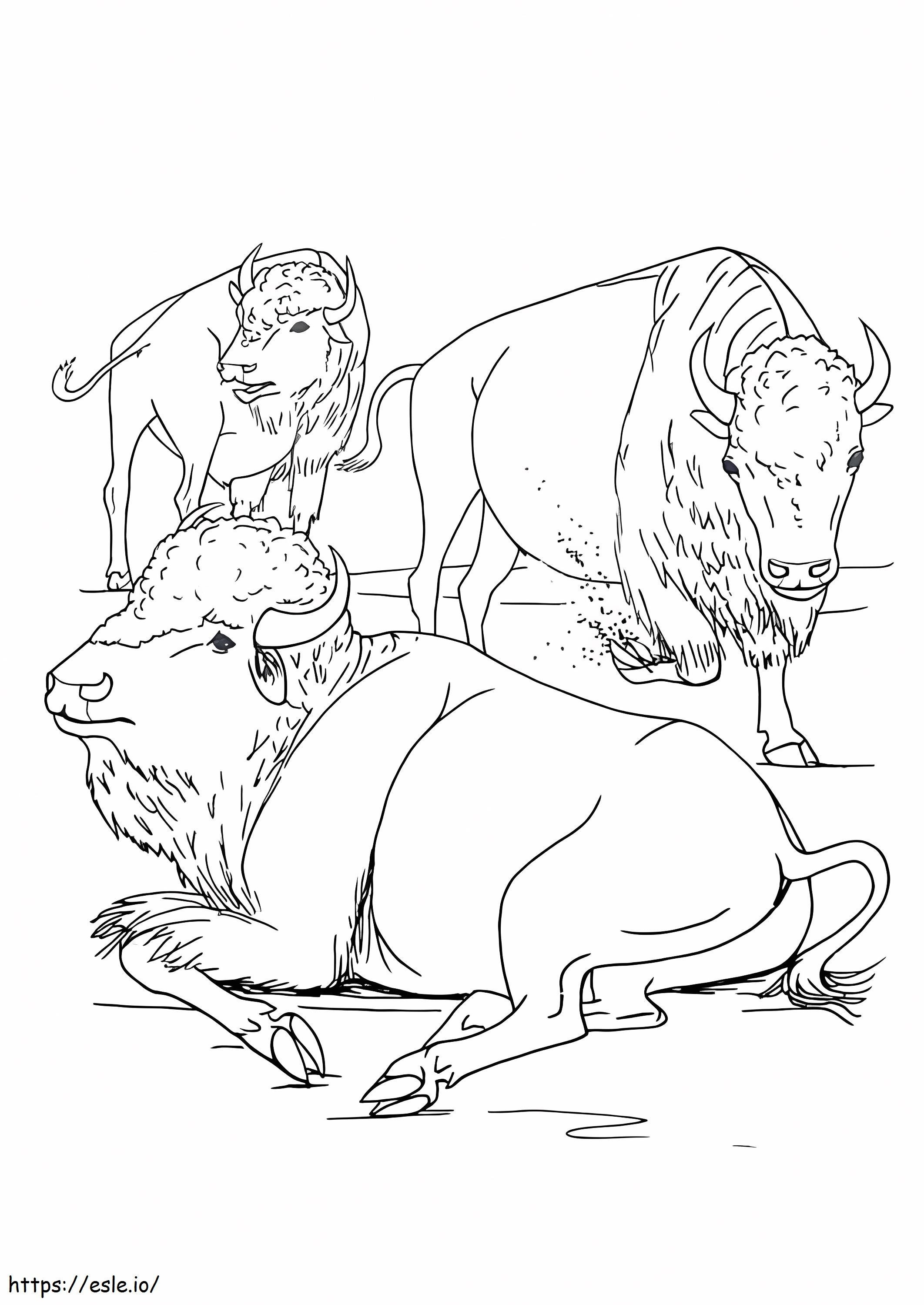 Three Bison coloring page