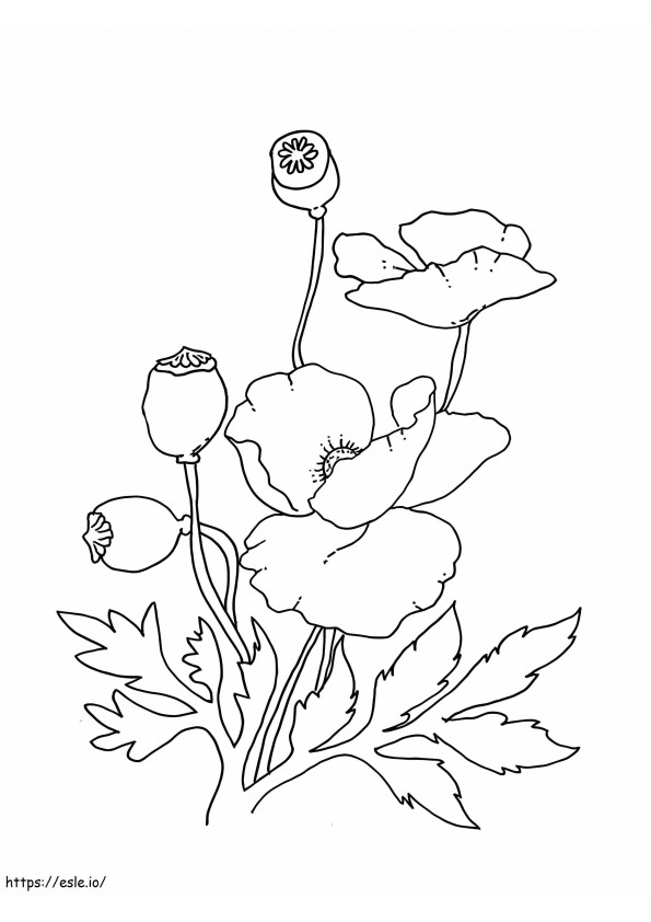 Poppy 6 coloring page