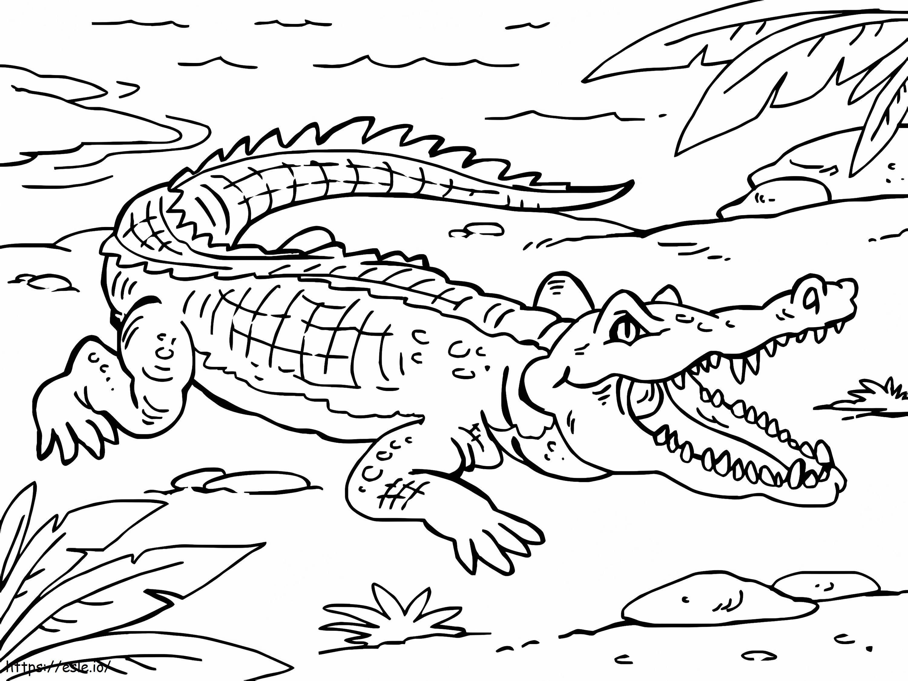 Normale Krokodil 1 kleurplaat kleurplaat