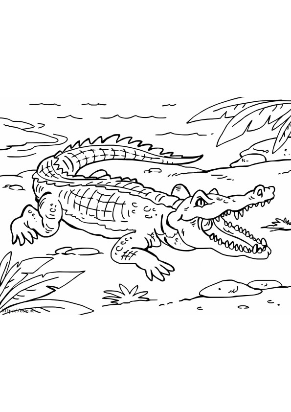Coloriage Crocodile normal 1 à imprimer dessin