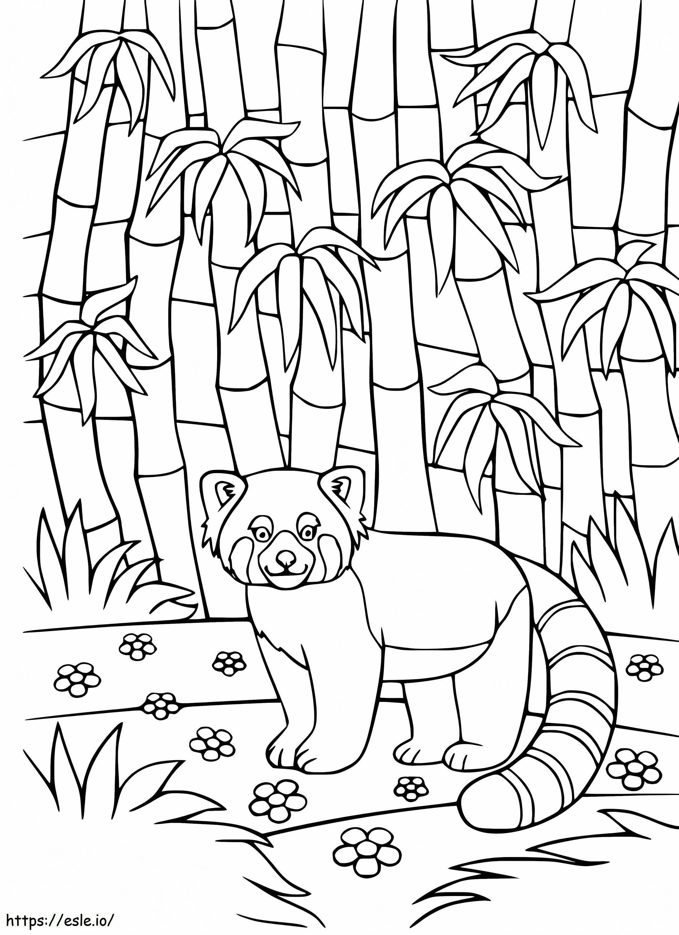 Punainen panda bambumetsässä värityskuva