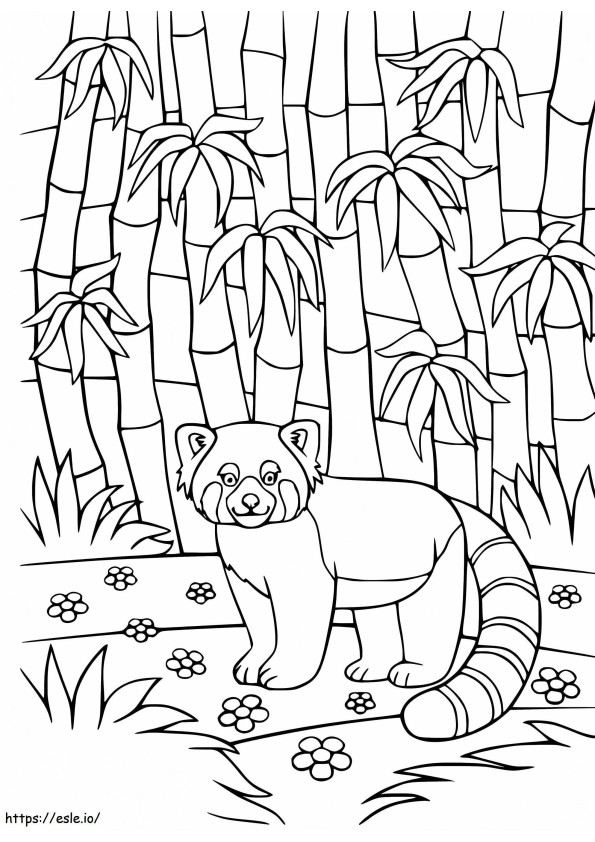 Panda Roșu în pădurea de bambus de colorat