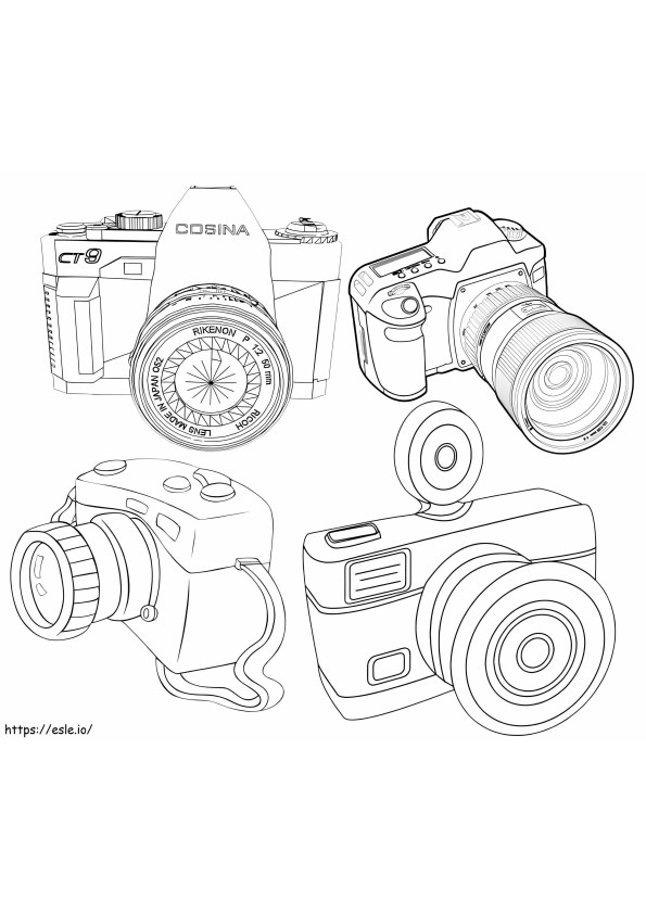 Four Chambers coloring page
