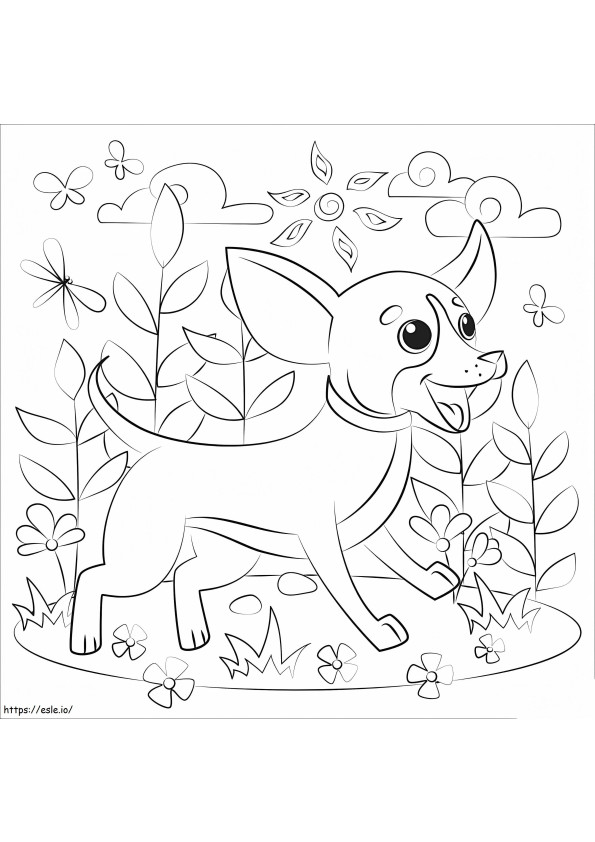 Onnellinen chihuahua-koira värityskuva