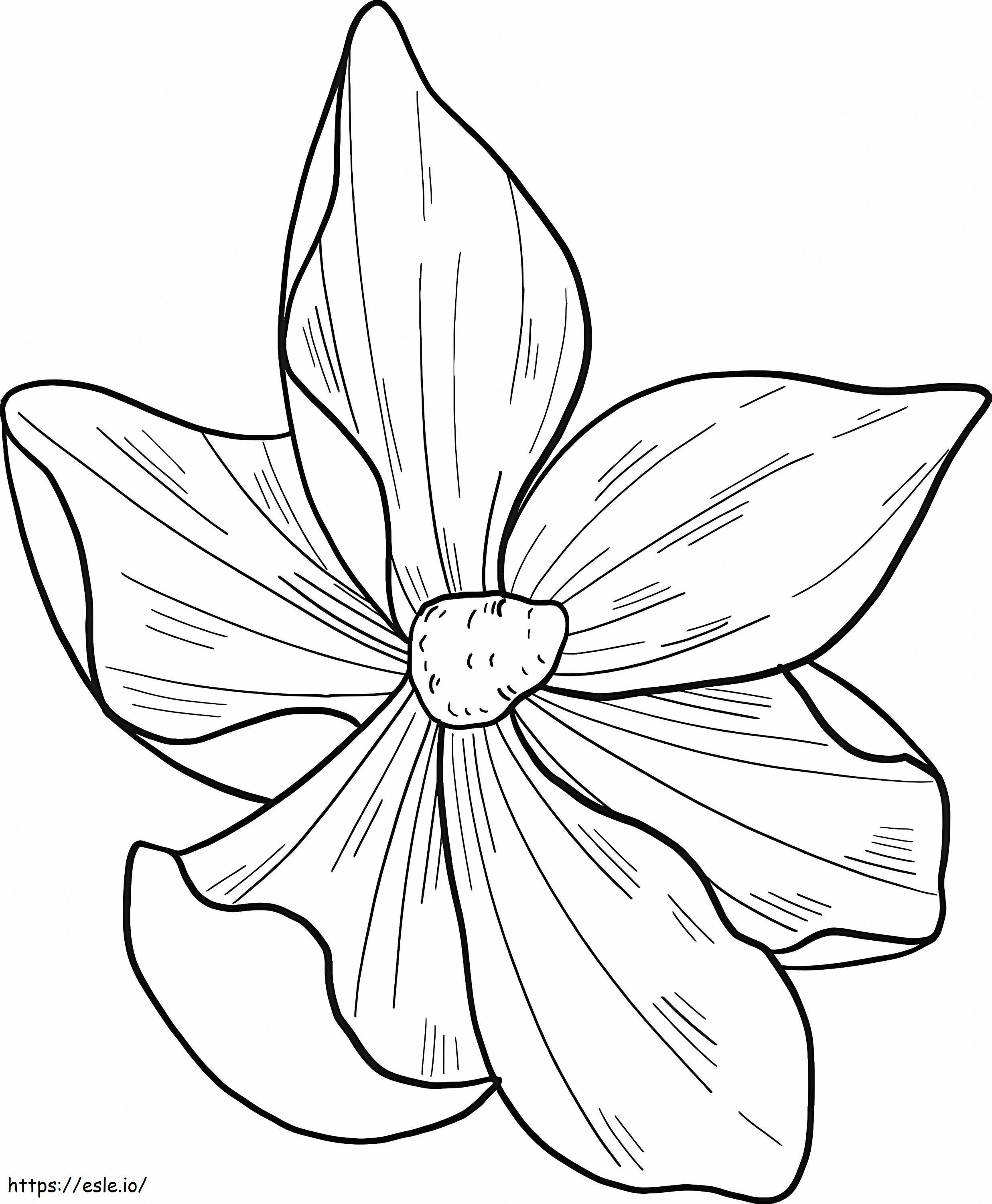 Fiore di magnolia 12 da colorare