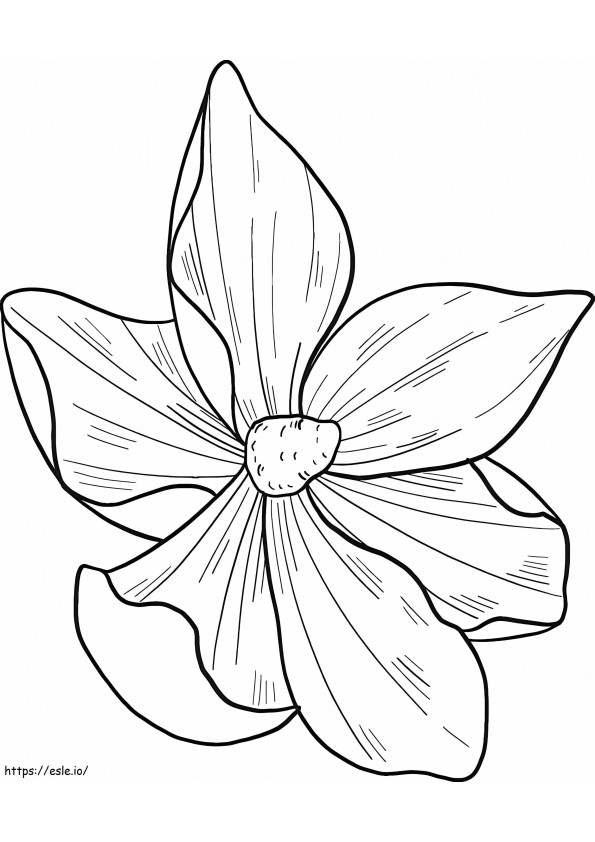 Fiore di magnolia 12 da colorare